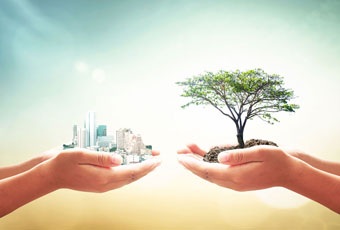 Sustainbility