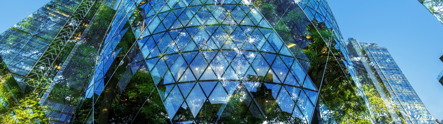 banner-background