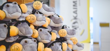 Family & Friends 2024 - Kaimann GmbH